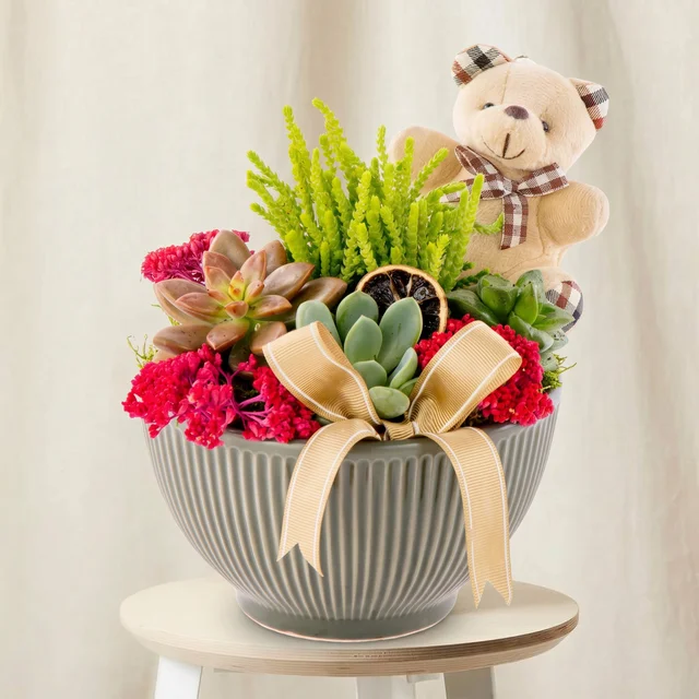 Teddy Garden Sukulent Bahçesi