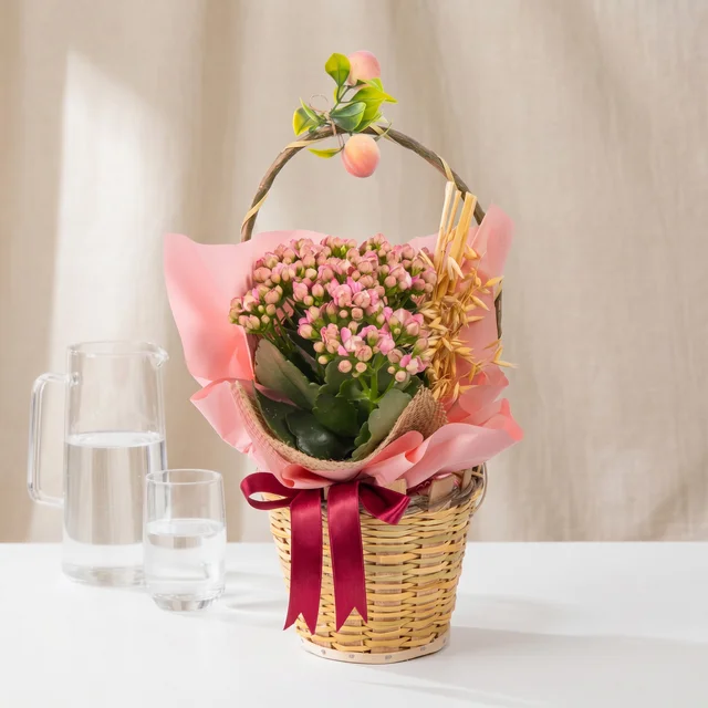 Peach Garden Pembe Kalanşo