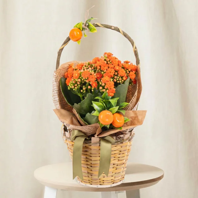 Citrus Joy Kalanşo Sepeti
