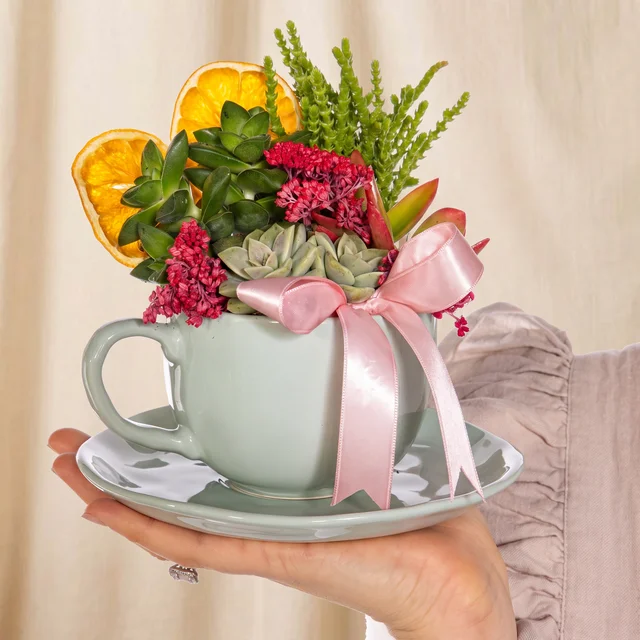 Sweet Teacup Sukulent Bahçesi