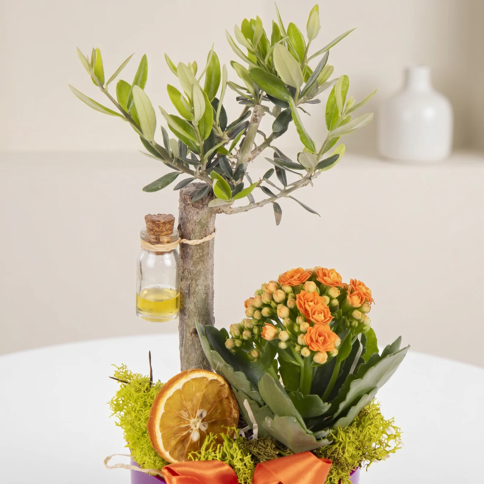 Olive Sunset Zeytin Bahçesi