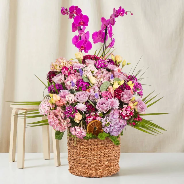 Royal Bloom Orkide Bahçesi