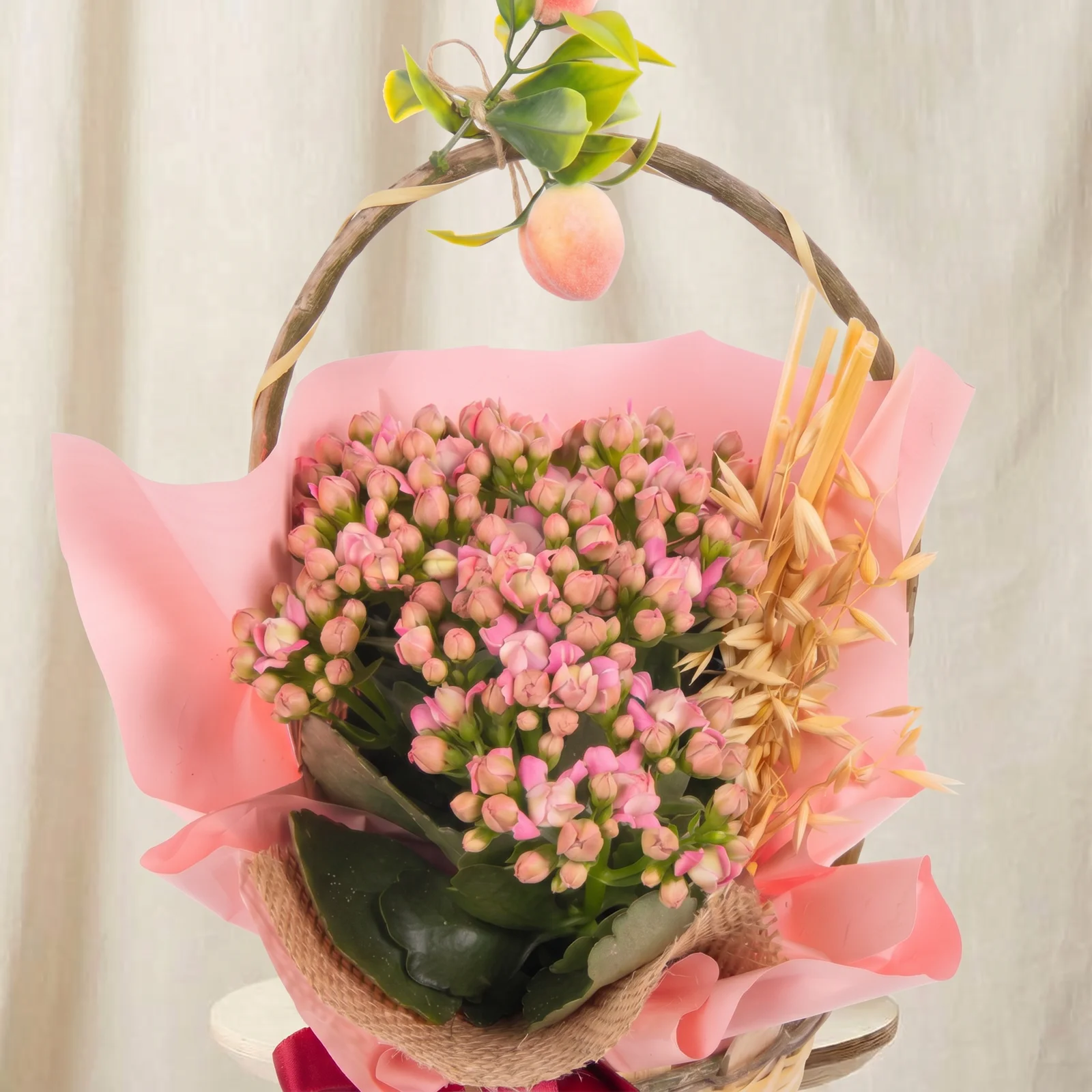 Peach Garden Pembe Kalanşo