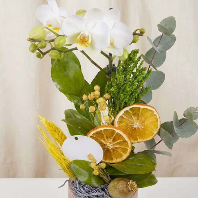 Citrus Pearl Beyaz Orkide
