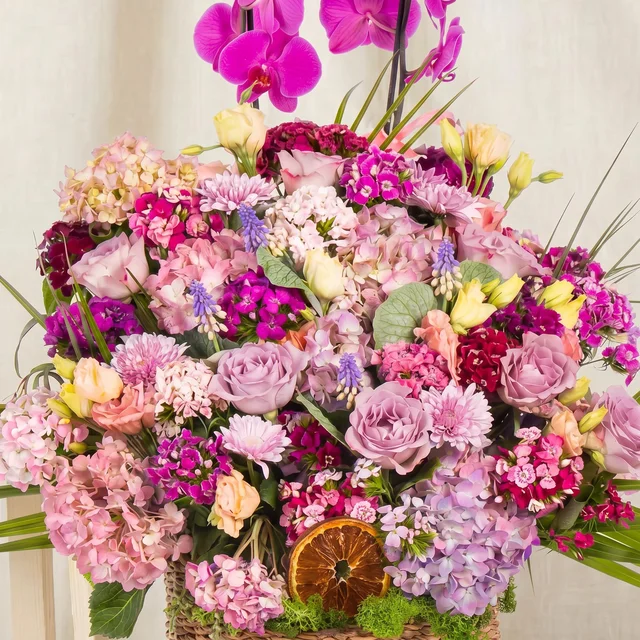 Royal Bloom Orkide Bahçesi