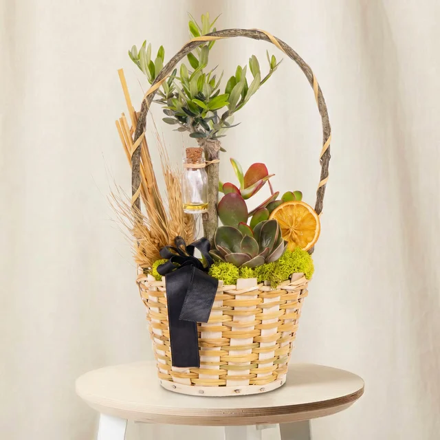 Rustic Olive Sukulent Sepeti