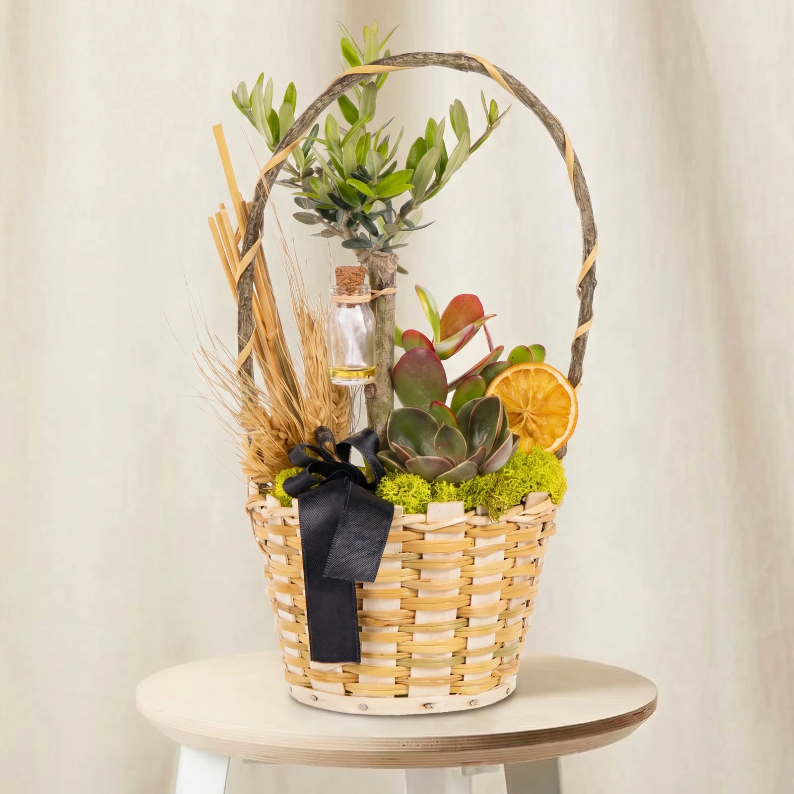 Rustic Olive Sukulent Sepeti
