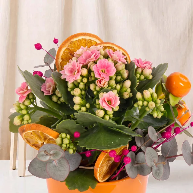 Vibrant Citrus Pembe Kalanşo