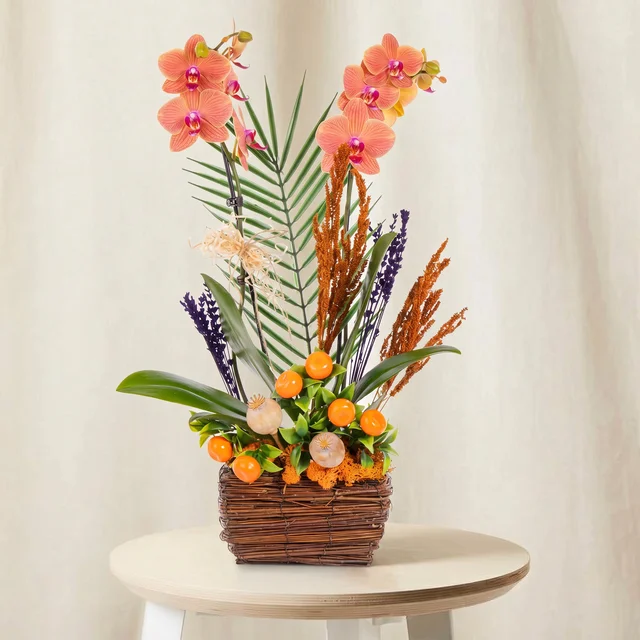 Sunrise Elegance Çift Dallı Orkide