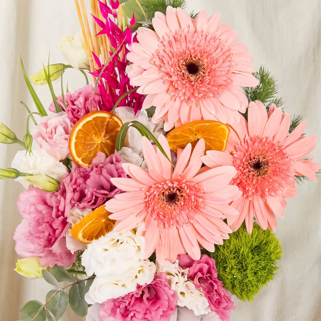 Soft Pink Gerberalar