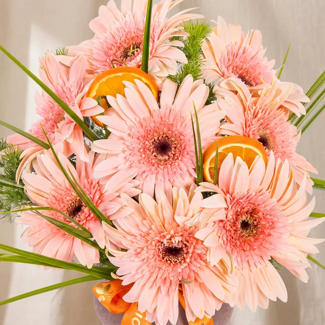 Fresh Pink Gerberalar