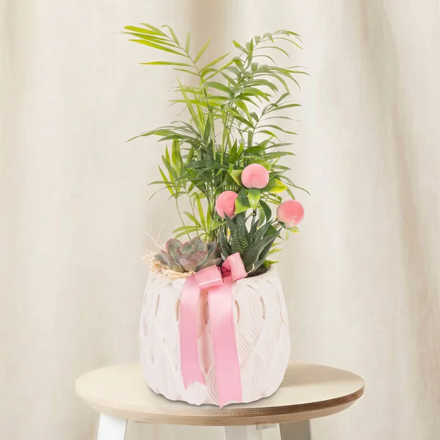 Pink Ribbon Palm Garden