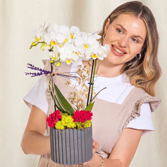 Pure White Midi Orkide 