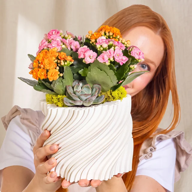Botanical Pastel Kalanşo Bahçesi
