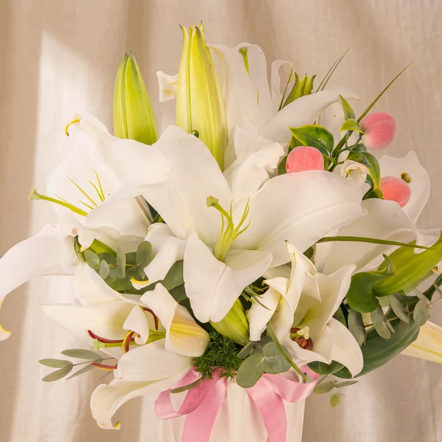 Peachy White Lilyumları
