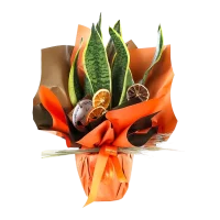 Kılıç Çiçeği