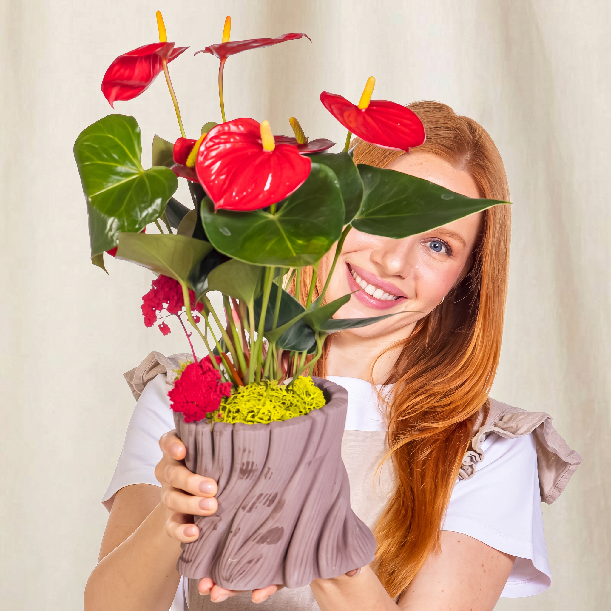 Scarlet Passion Antoryum Bitkisi