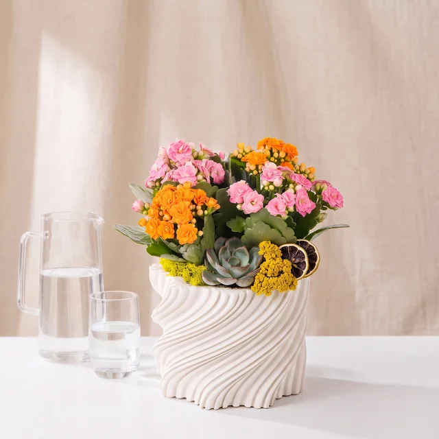 Botanical Pastel Kalanşo Bahçesi