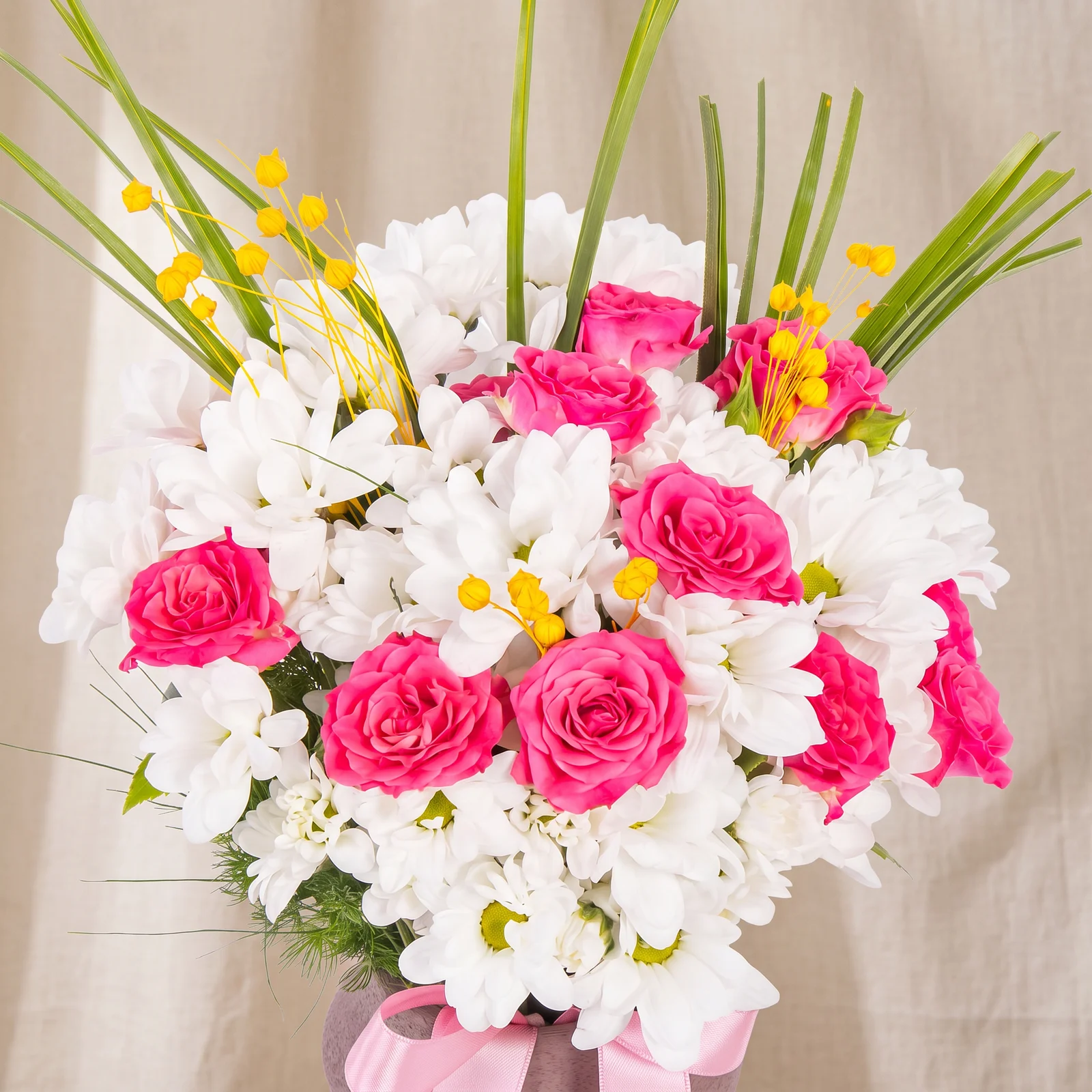 Sweet Pink Rose Krizantemleri