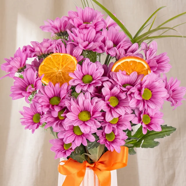 Citrus Breeze Krizantemler