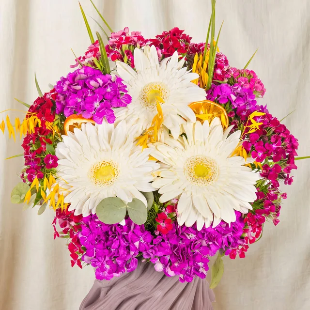 Spiral Bloom Beyaz Gerberalar