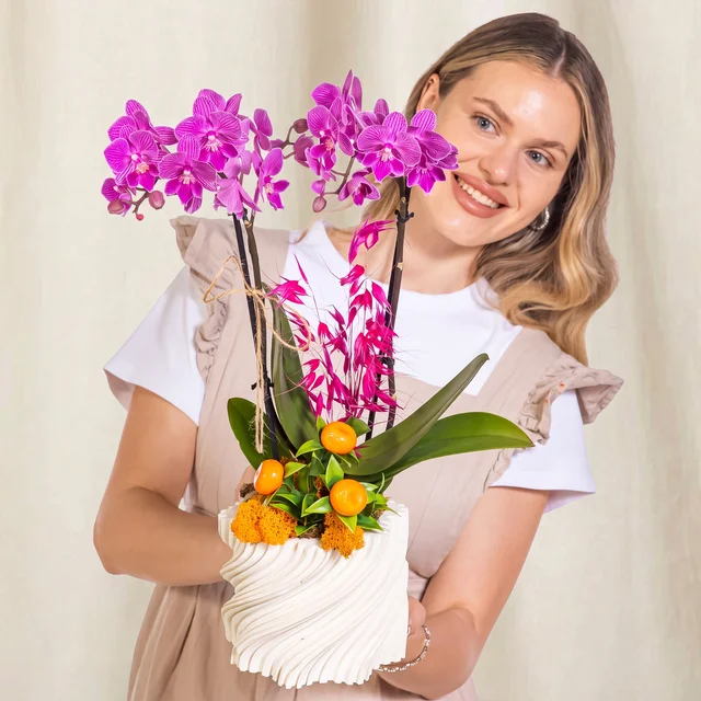 Magenta Grace Orkide