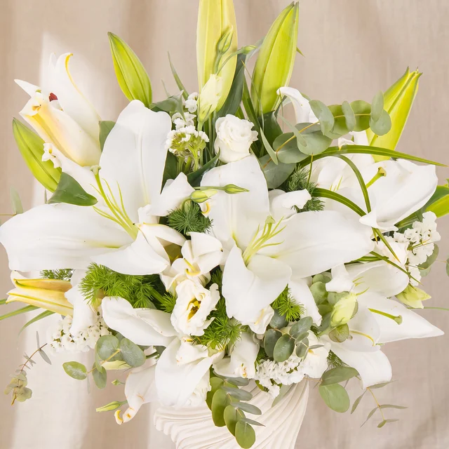Pure White Lilyumlar