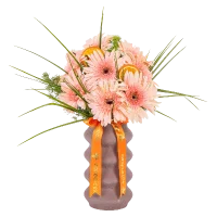 Gerbera