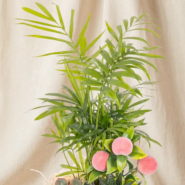 Pink Ribbon Palm Garden