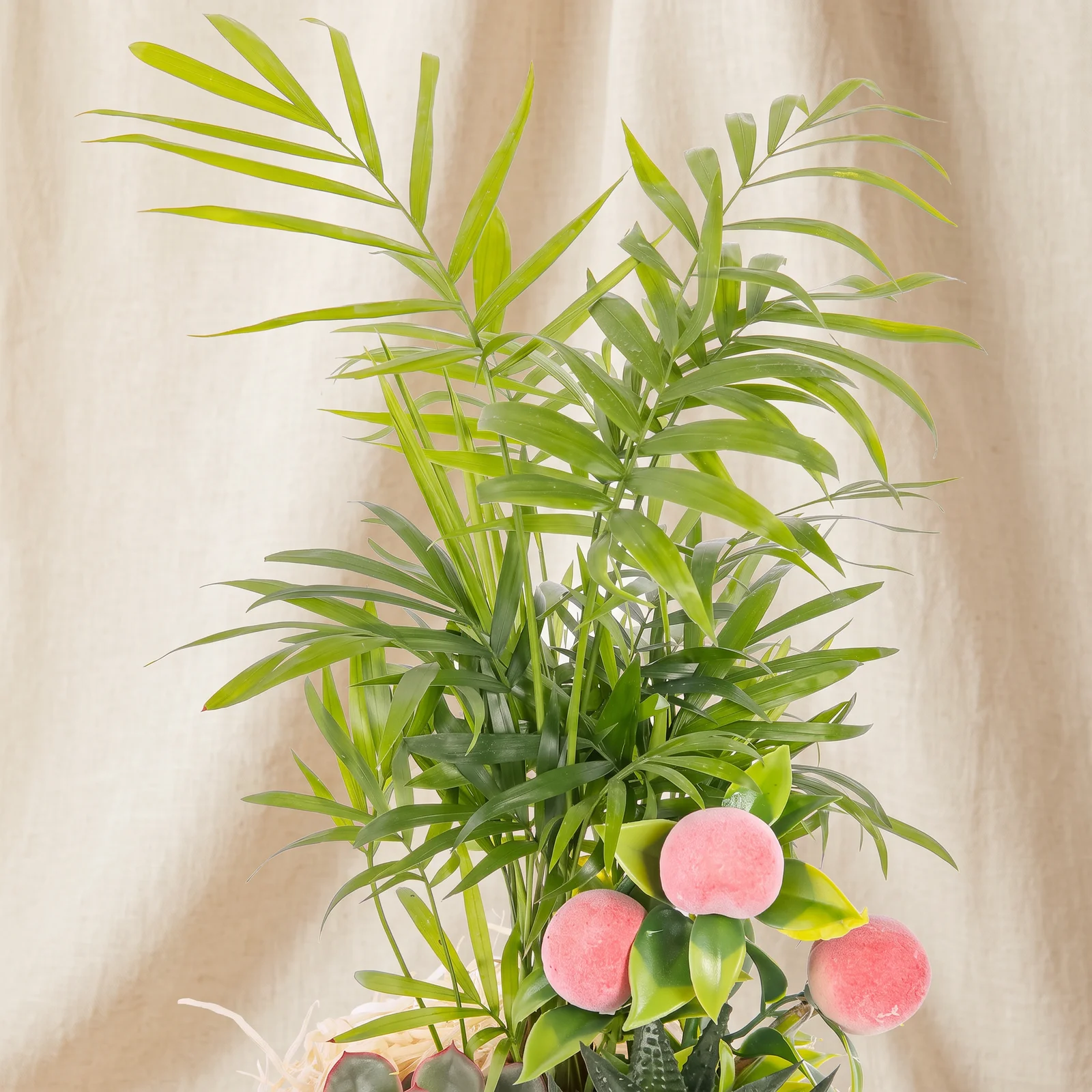 Pink Ribbon Palm Garden