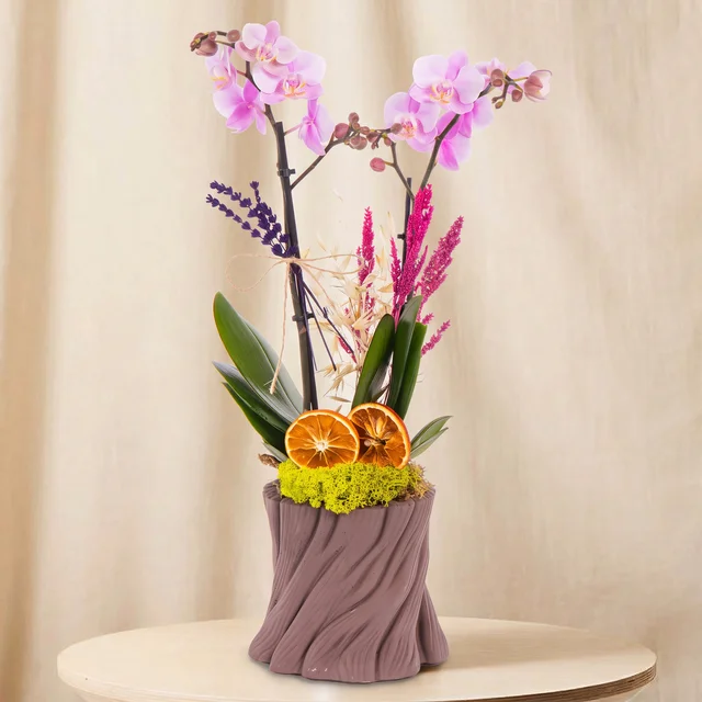 Soft Lavender Orkide