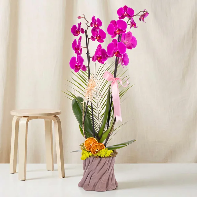 Natural Bloom Mor Orkide