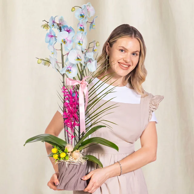 Charm Bloom Mavi Çift Dallı Orkide