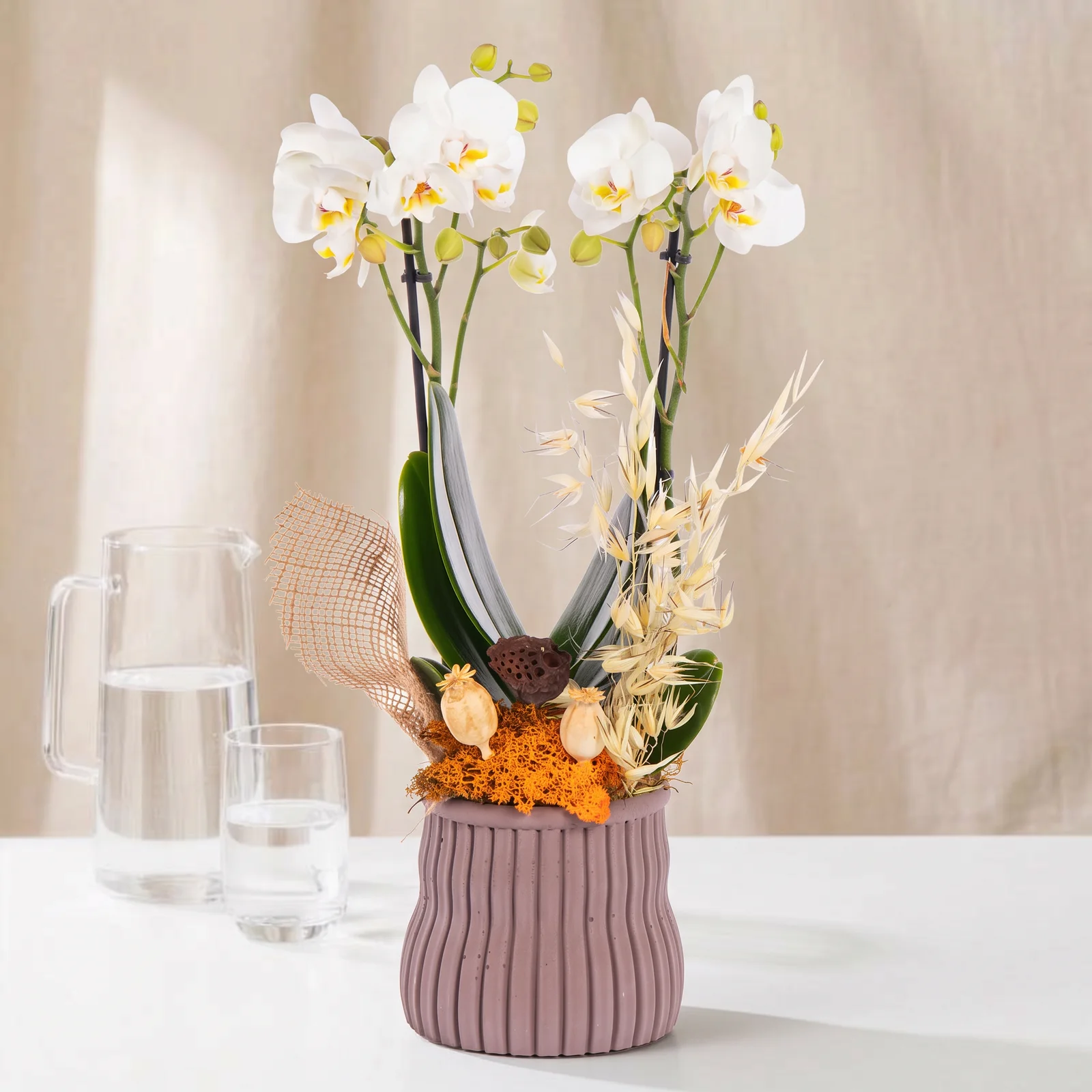 White Serenity Orkide