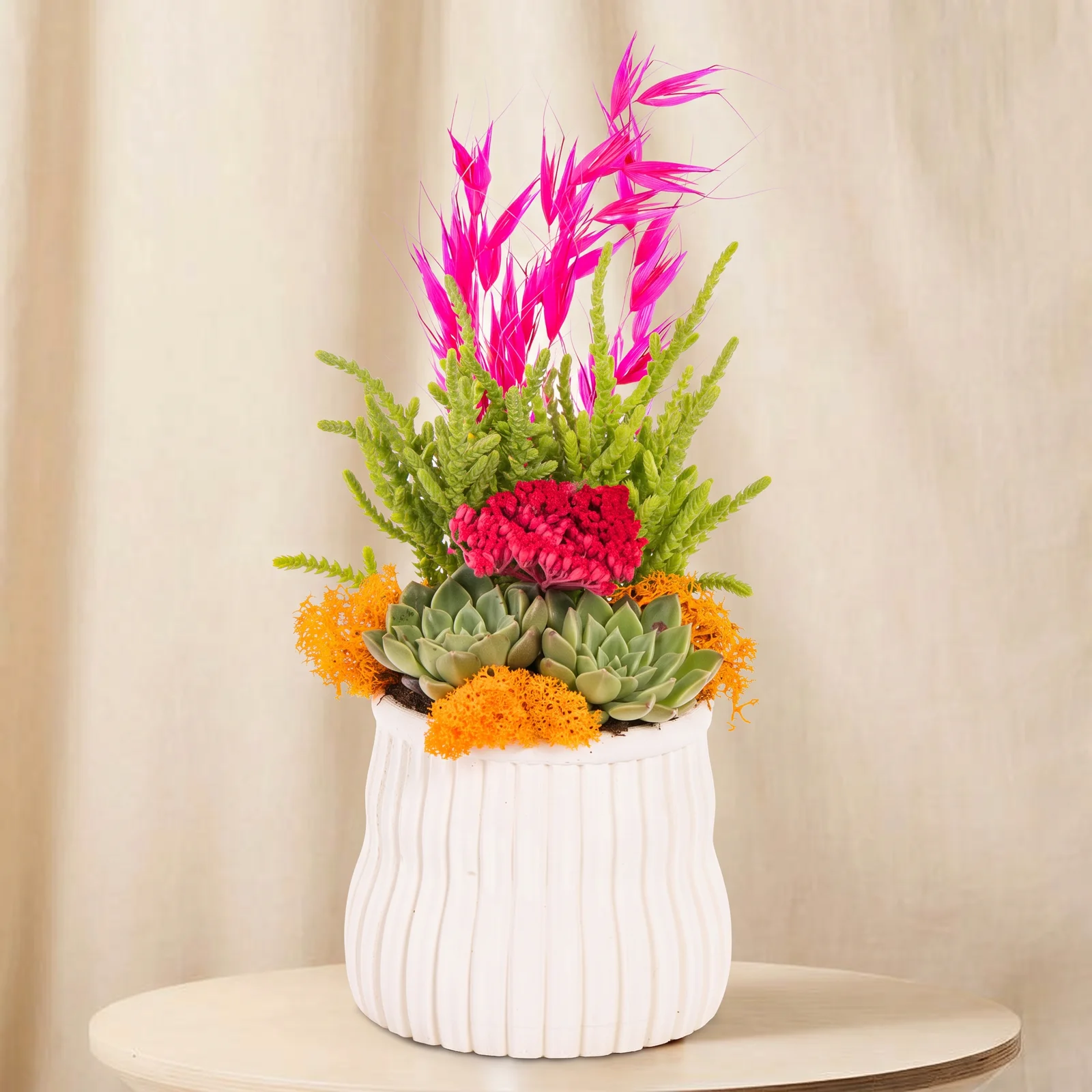 Vibrant Magenta Sukulent