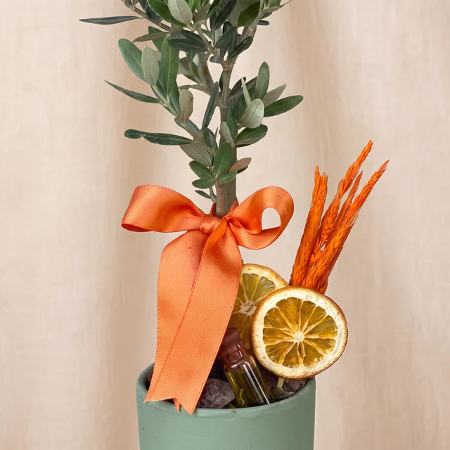Green Olive Mini Zeytin