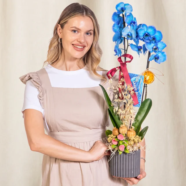 Blue Elegance Çift Dallı Orkide