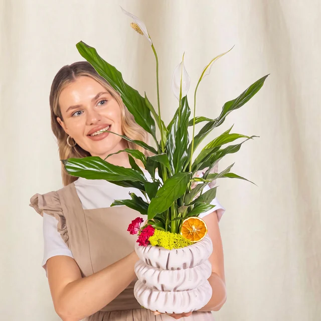 Citrus Pearl Barış Çiçeği