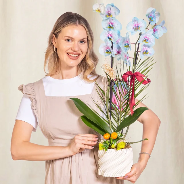 Pastel Azure Çift Dal Orkide