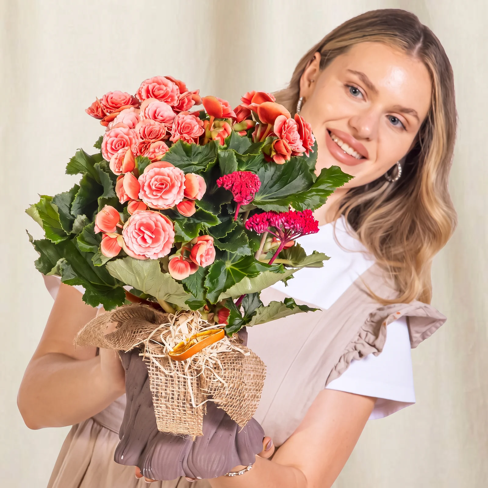 Vintage Coral Begonya