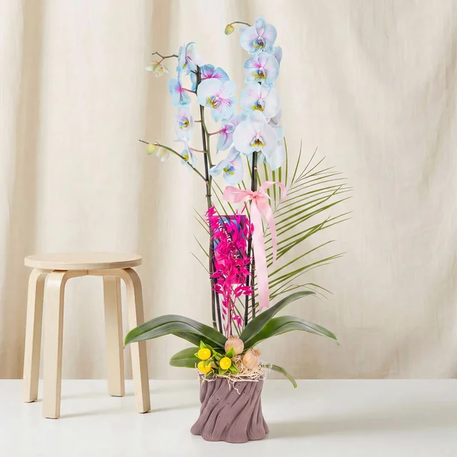 Charm Bloom Mavi Çift Dallı Orkide