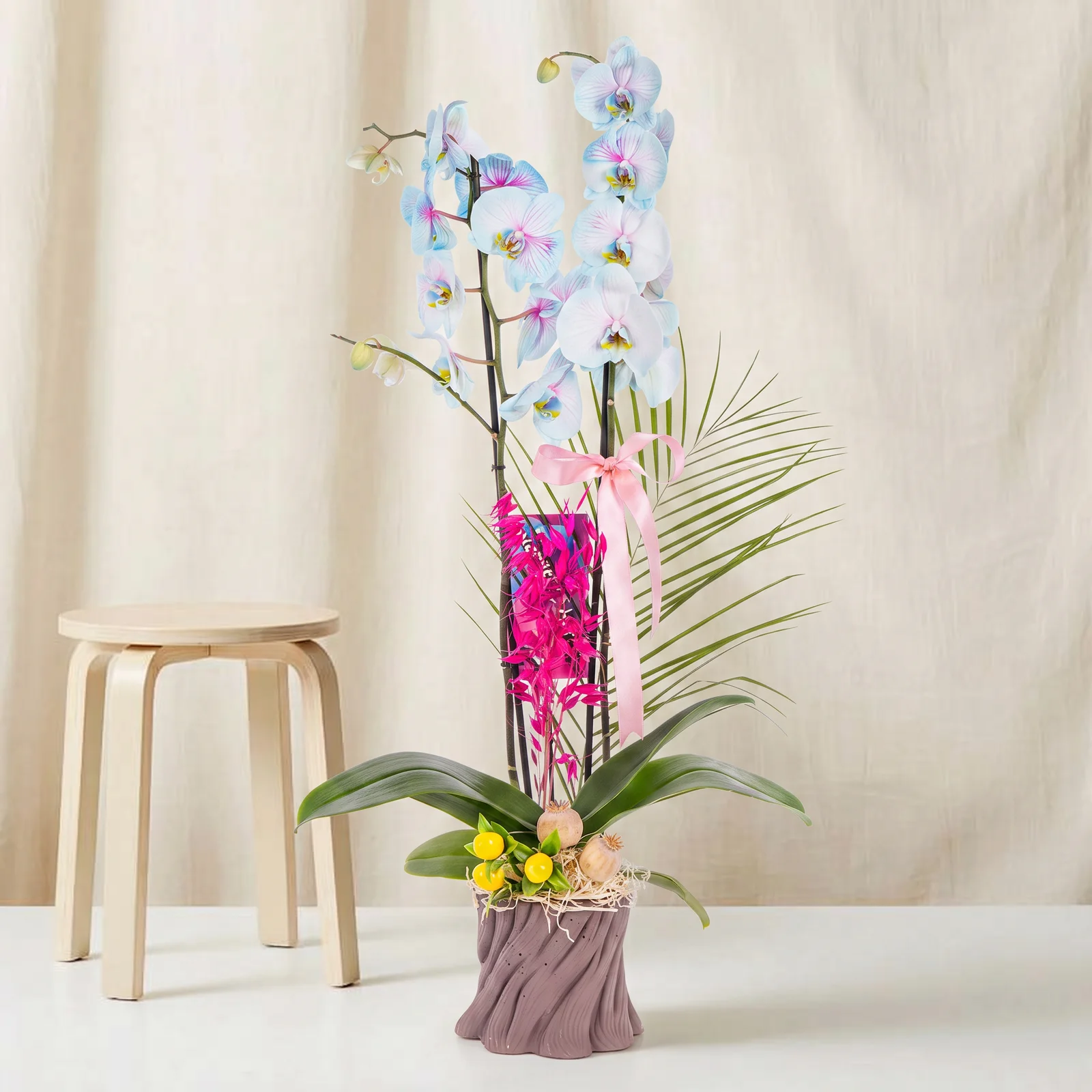 Charm Bloom Mavi Çift Dallı Orkide