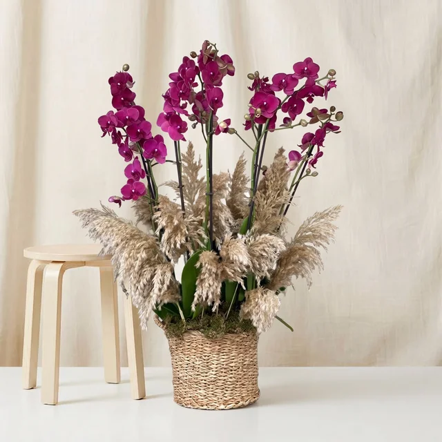 Royal Purple Orkide Bahçesi