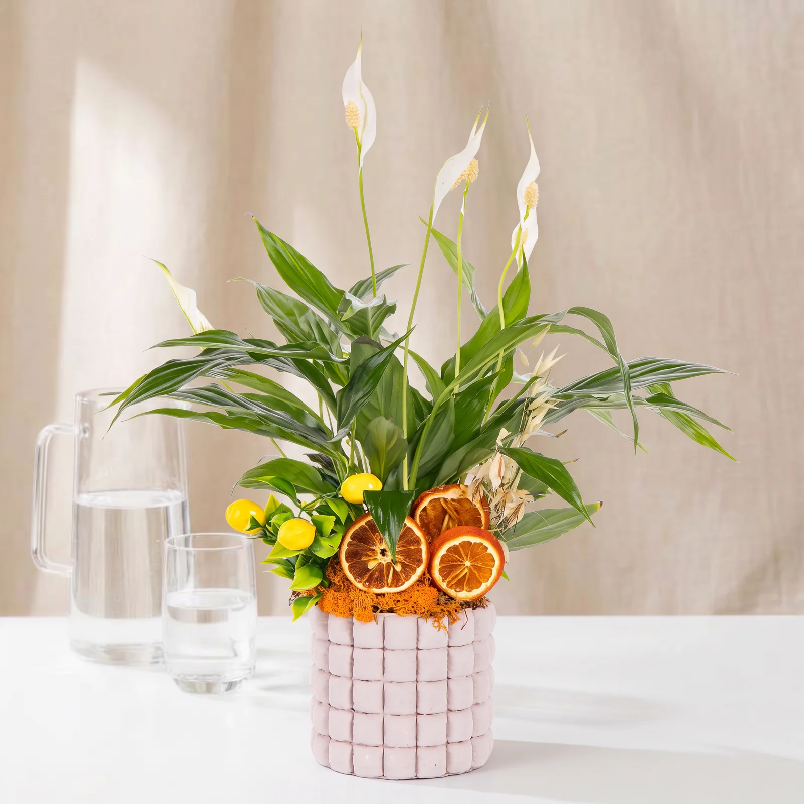 Citrus Grid Barış Çiçeği
