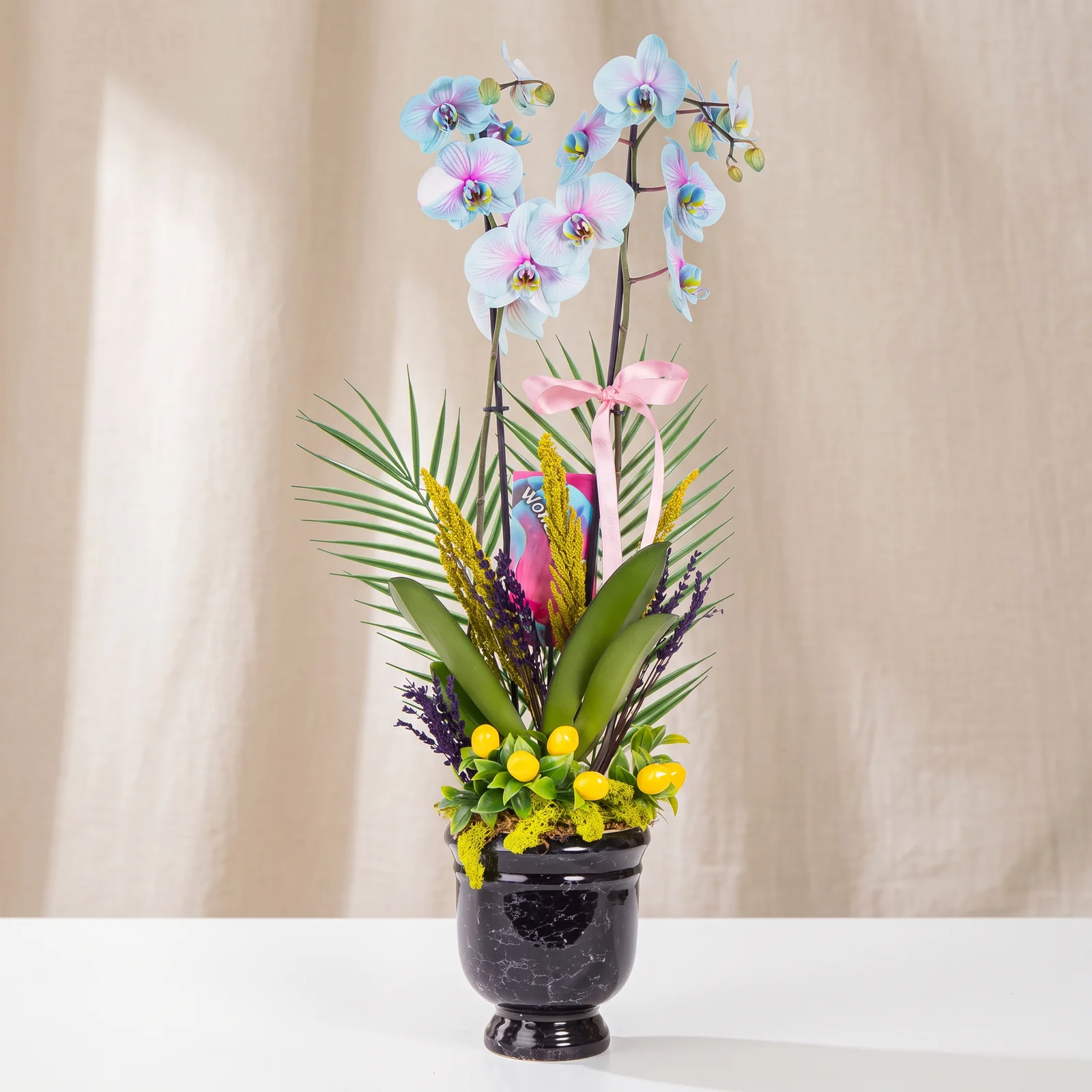 Pastel Citrus Mavi Orkide