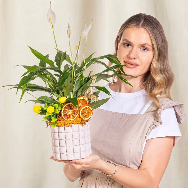 Citrus Grid Barış Çiçeği