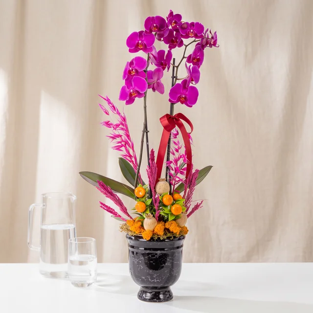 Imperial Magenta Mor Orkide