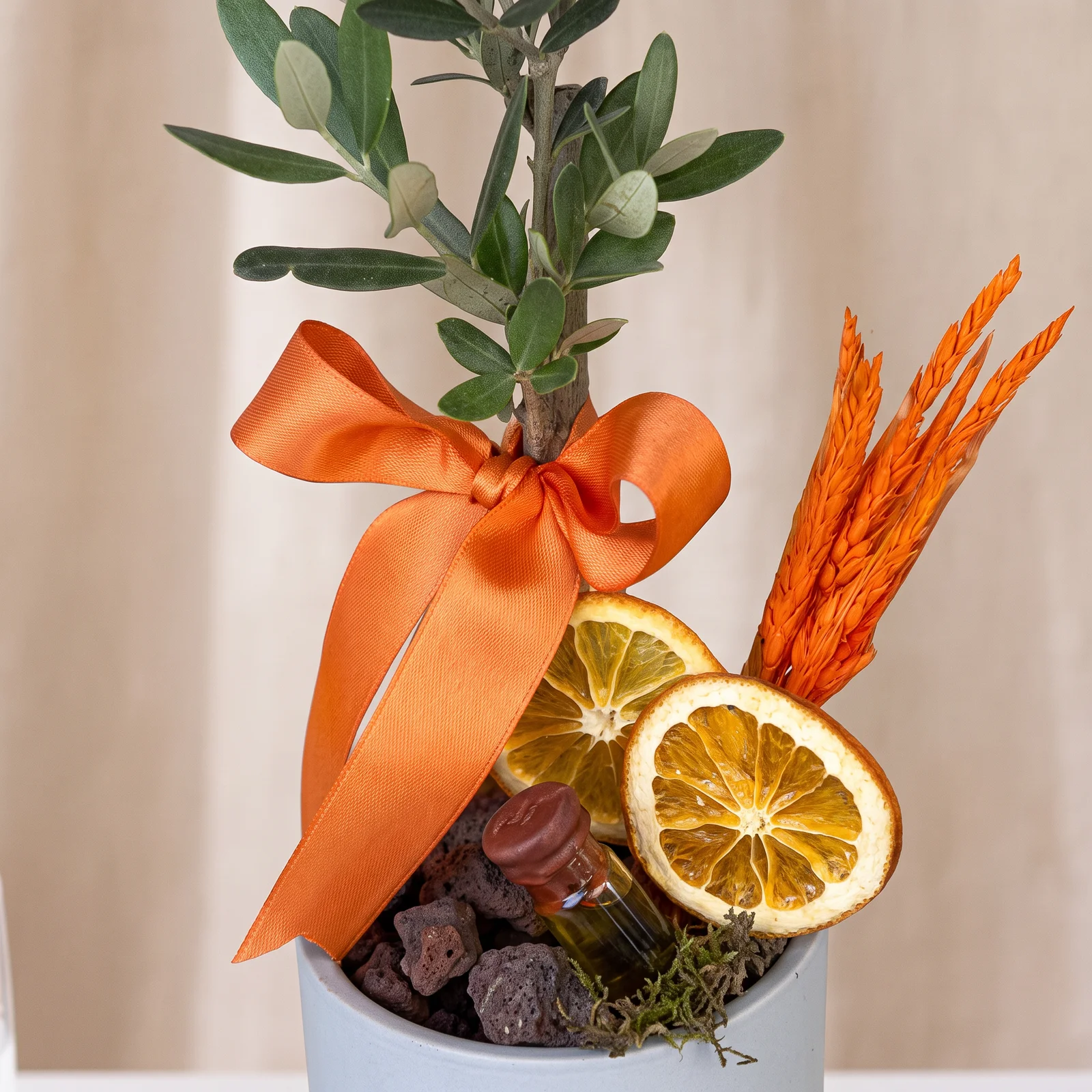 Fresh Citrus Mini Zeytin