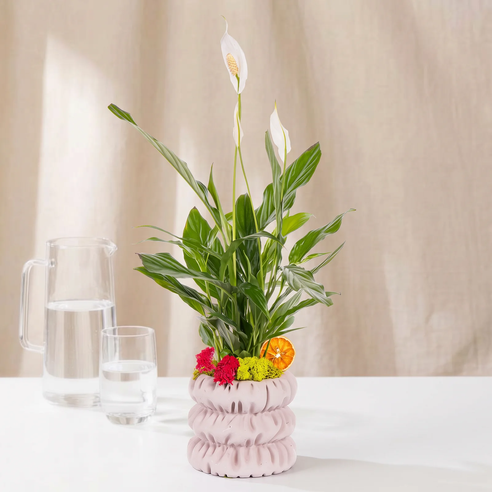 Citrus Pearl Barış Çiçeği