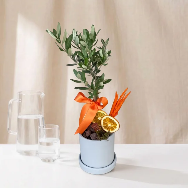 Fresh Citrus Mini Zeytin